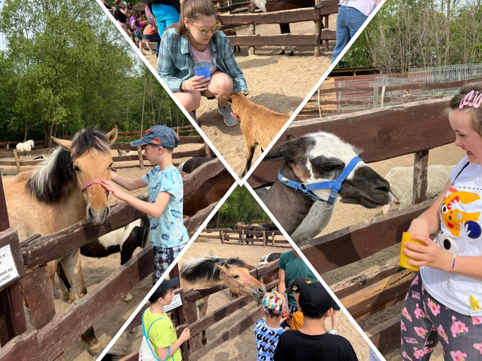 - zoo2.jpg - zoo2.jpg